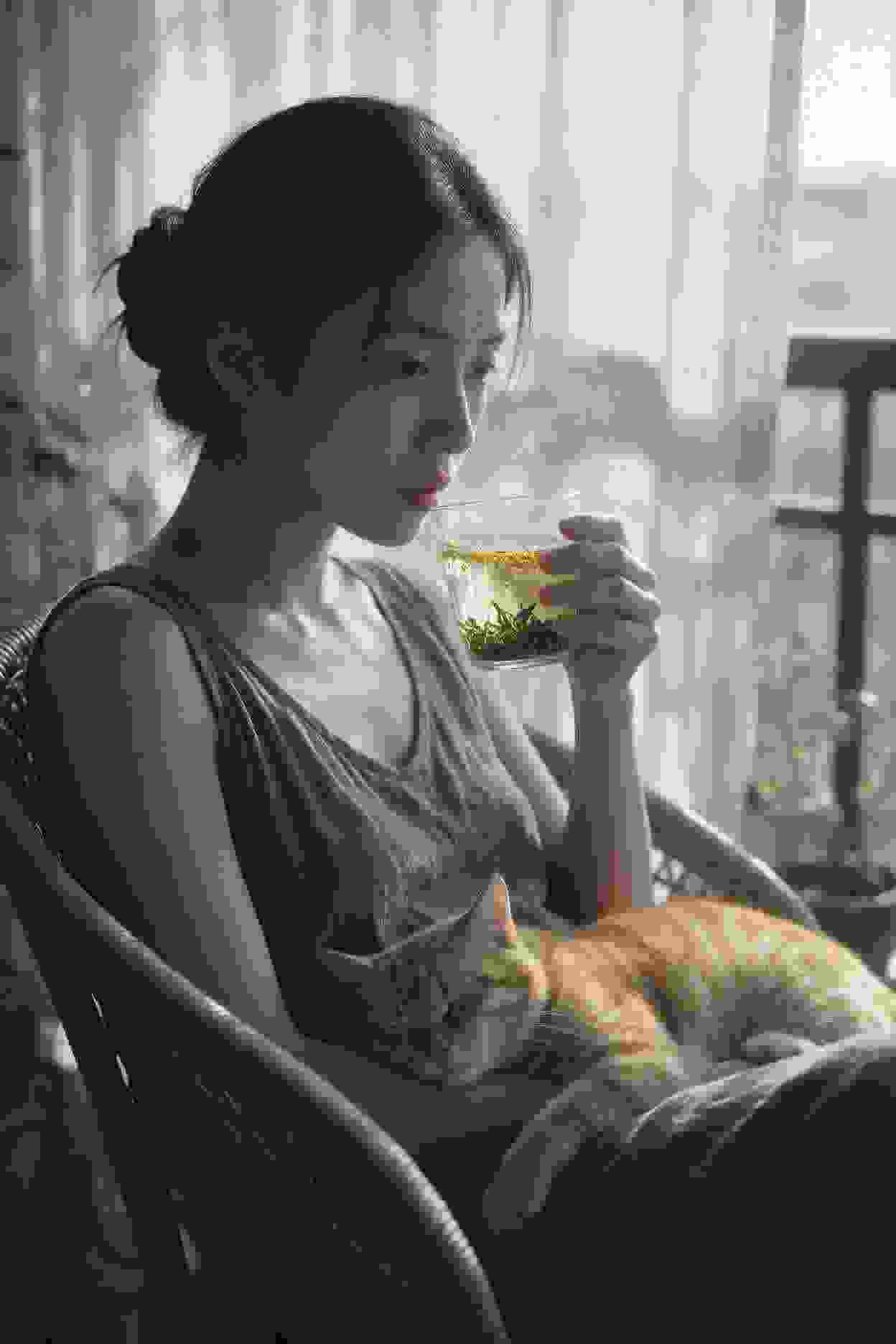 剧集